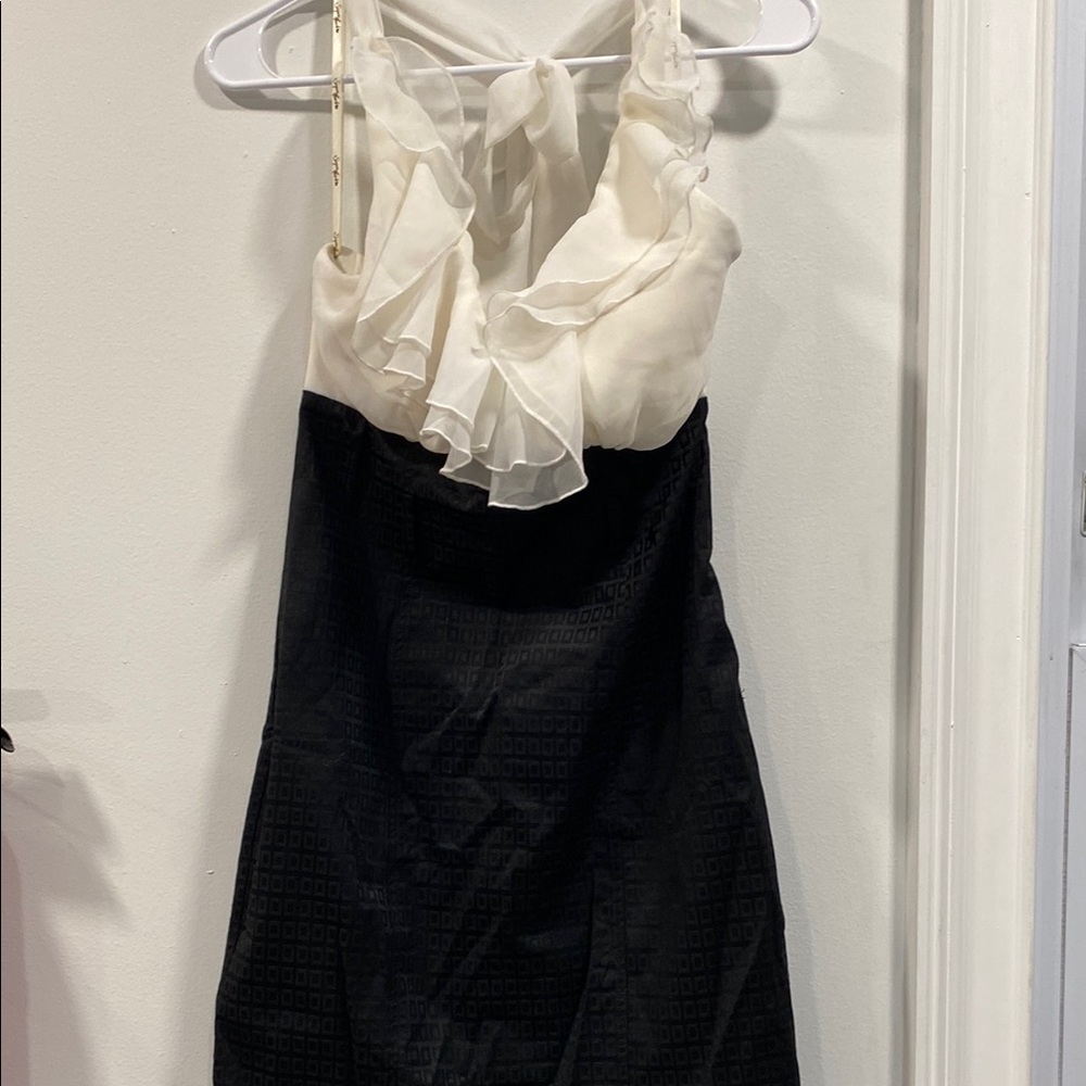 Elegant Black and Cream Dress